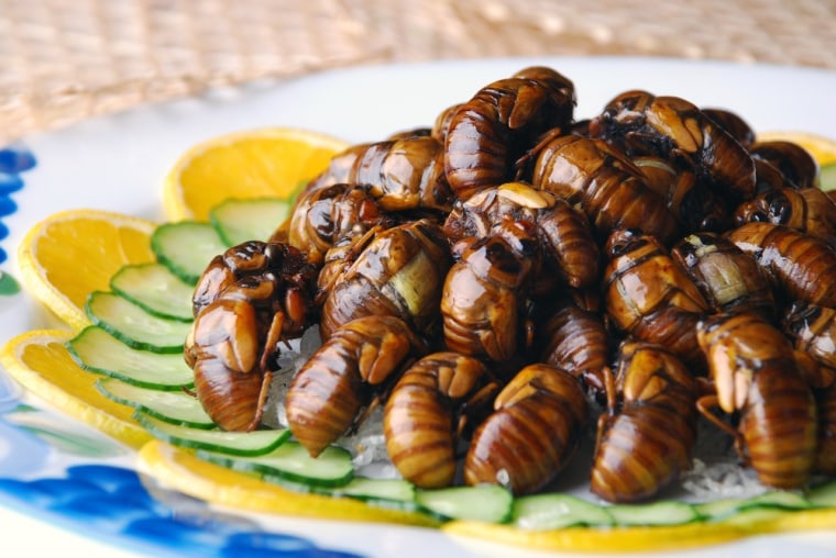 Image: Cooked Cicadas